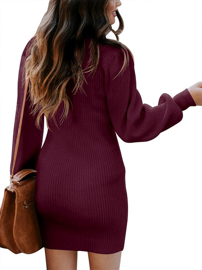 Turtleneck Sweater Dress